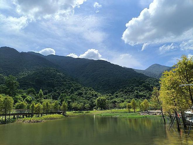 神秘发现于台湾海域：令人好奇的海洋珍宝